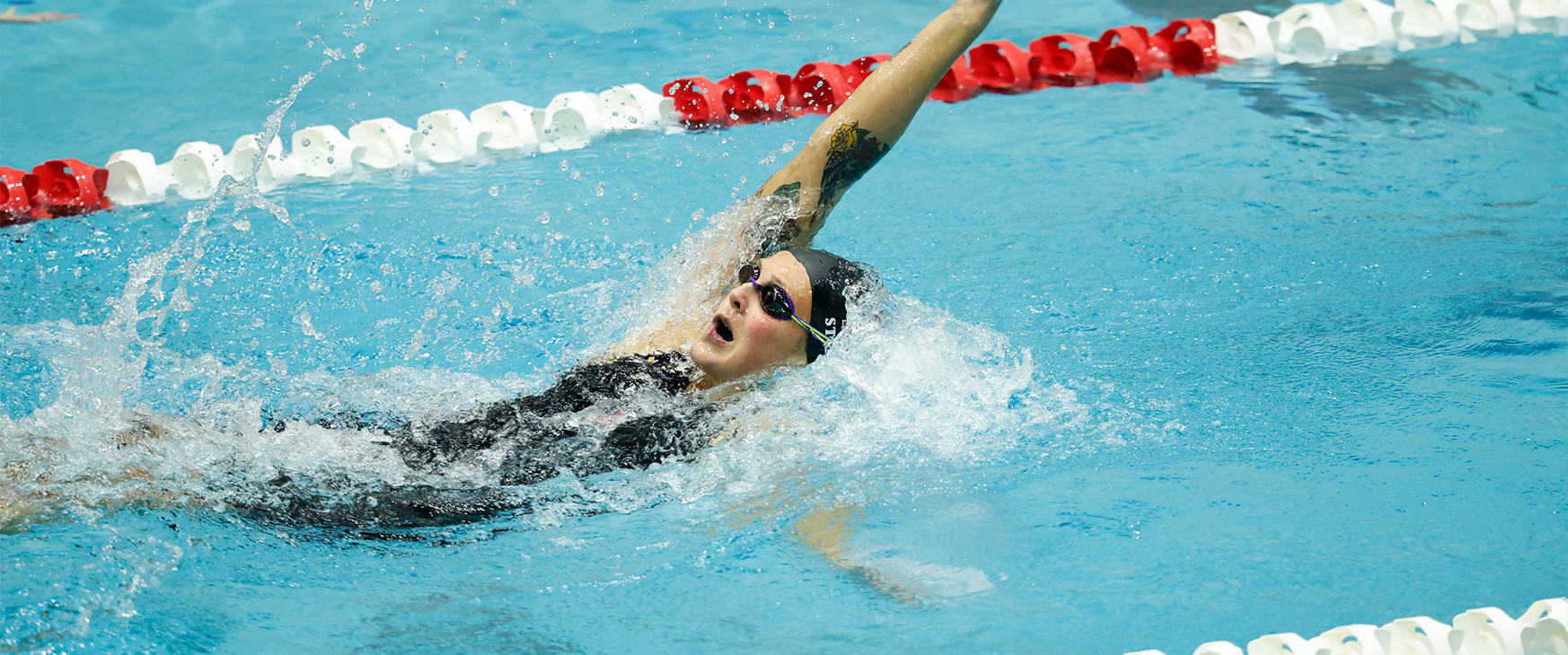 AztecSwimDive's tweet card. Aztecs Continue Winning Ways with Dual-Meet Victory at Pepperdine