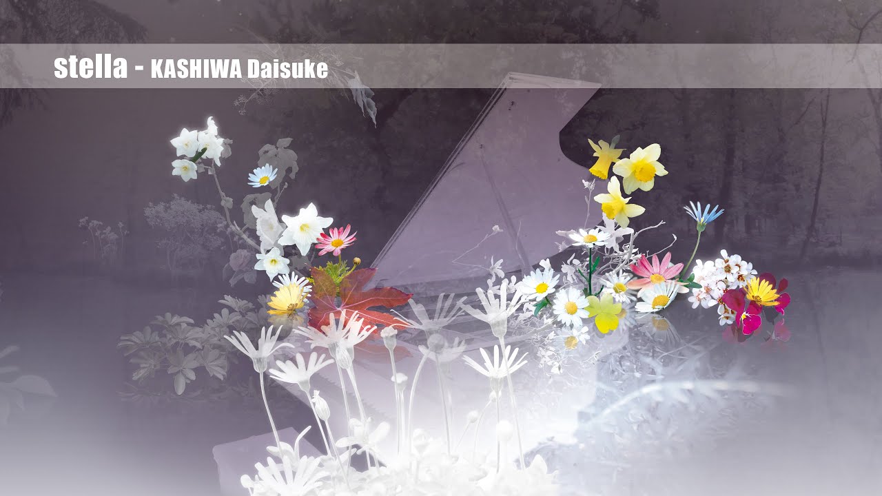 eritn87's tweet card. KASHIWA Daisuke - stella