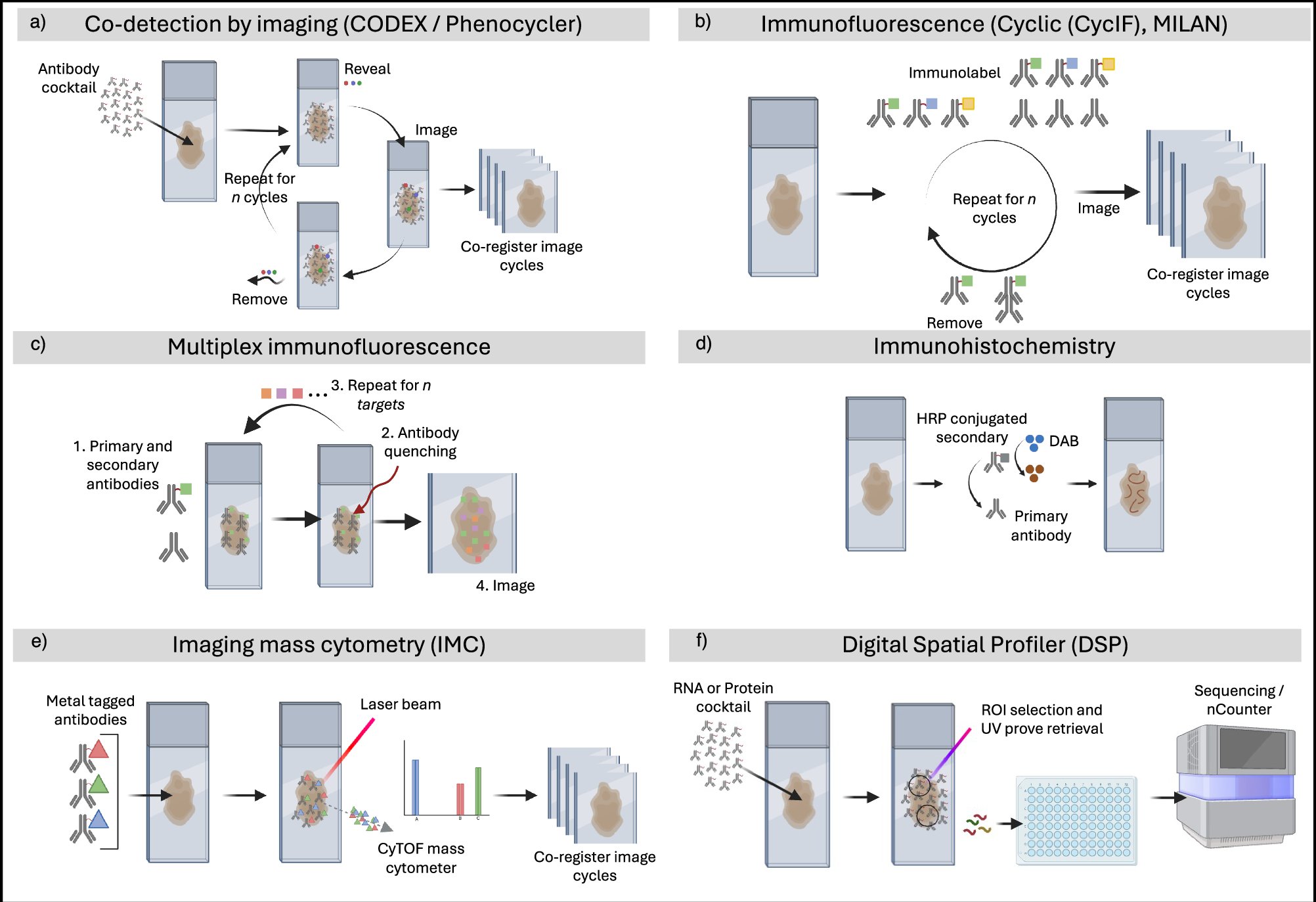 SpatialBioHub's tweet card. npj Precision Oncology - The current landscape of spatial biomarkers for prediction of response to immune checkpoint inhibition
