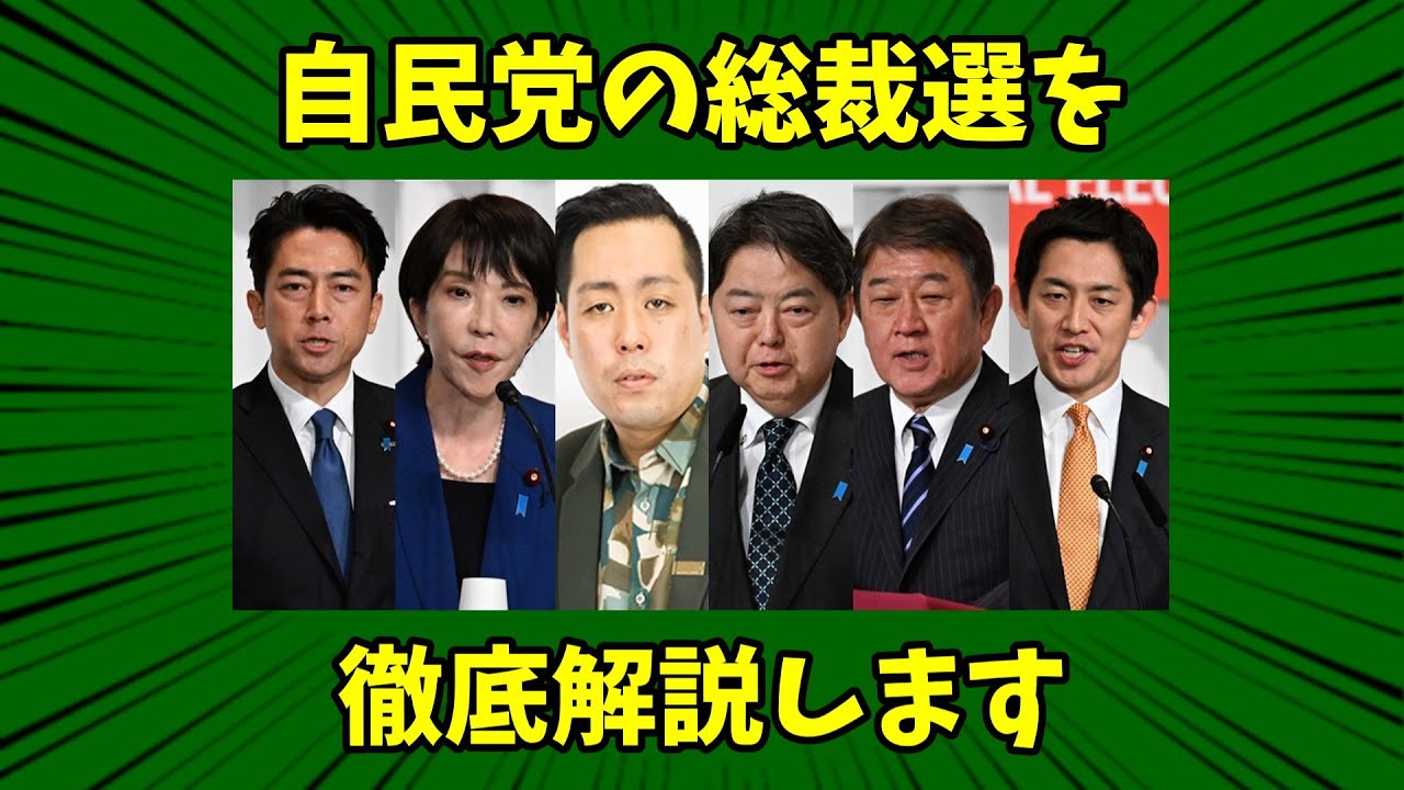aihohohohoho's tweet card. 自民党の総裁選を徹底解説します