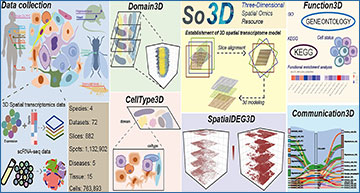 RNASeqBlog's tweet card. So3D integrates spatial omics and RNA sequencing data to reveal how cells interact within three-dimensional tissues, offering new insights into tissue organization, gene activity, and disease...
