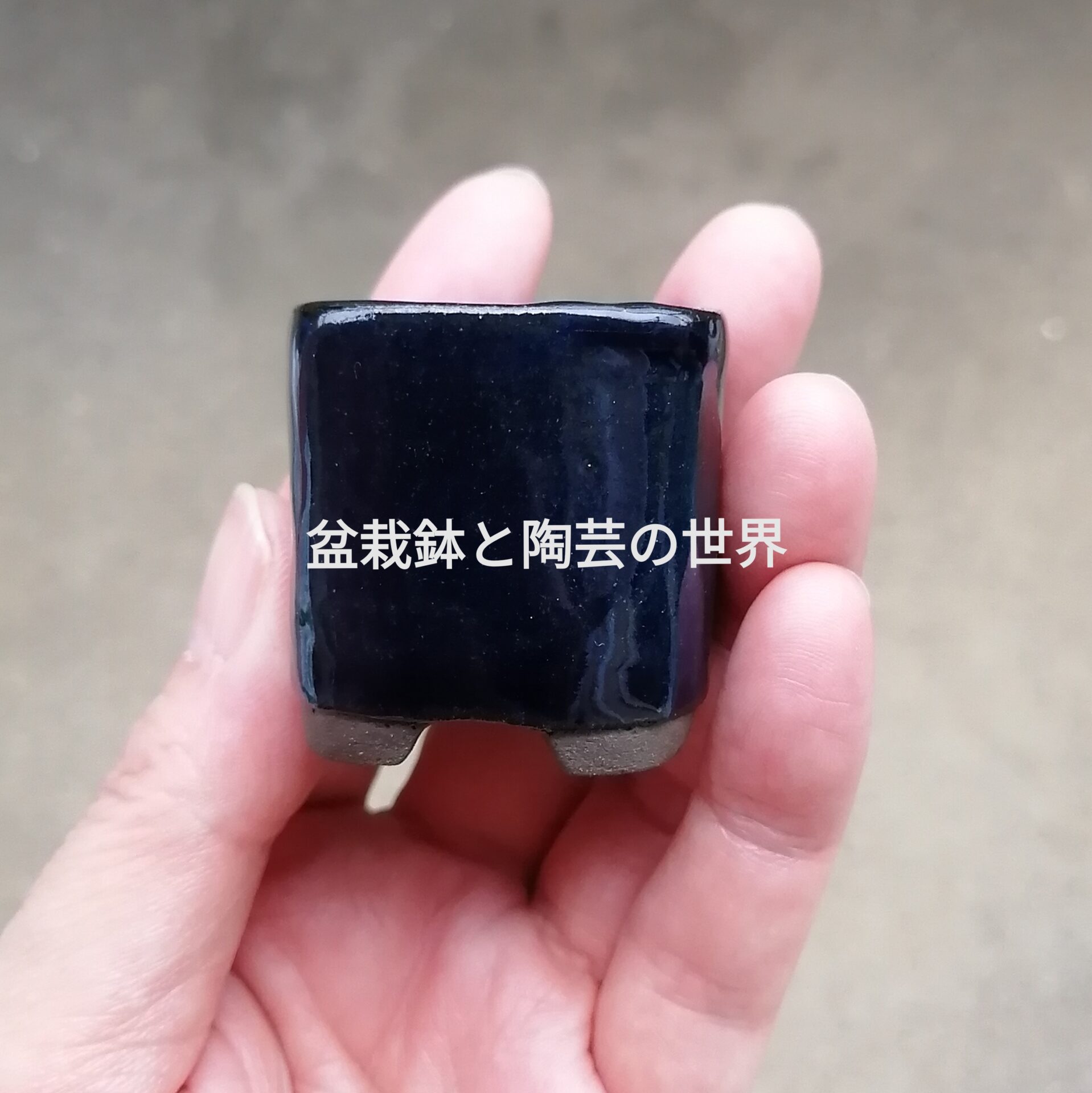 zoukimaple's tweet card. 盆栽や植物を育てている方々から切っても切り離せないのが『鉢』だと思います。特に盆栽は、鉢も含めての鑑賞になるのがほとんどですし、知れば知るほど奥が深く、作家さんの鉢を集めたくなってしまいますよね！ (adsbygoogle = wi