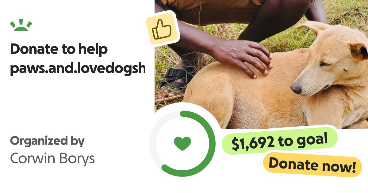 CorwinBorys's tweet card. Hi, my name is Corwin Borys and I'm doing this on behalf of James Semwogerere. He… Corwin Borys needs your support for Donate to help paws.and.lovedogshelter.
