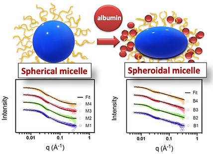 YoungMacroTalks's tweet card. A fructose-based block copolymer was self-assembled into four different micelles with various shell polymer densities. The most brush-like micelle was observed to have the highest amount of protein...