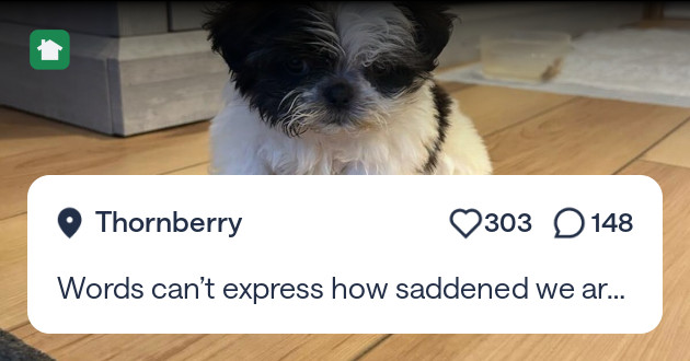 Tweet card summary image