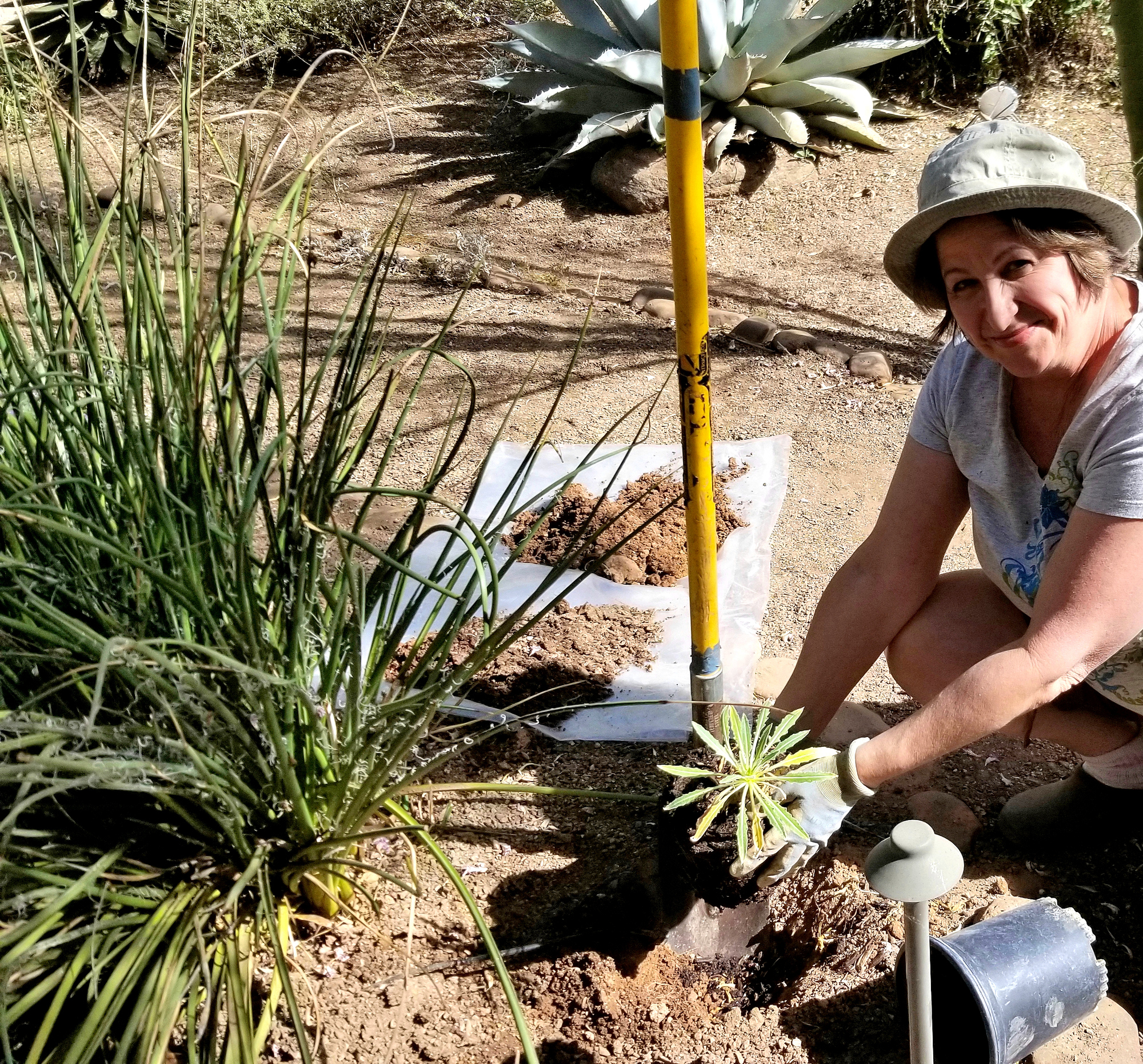 CITYOFMESA's tweet card. Living Green Events for September