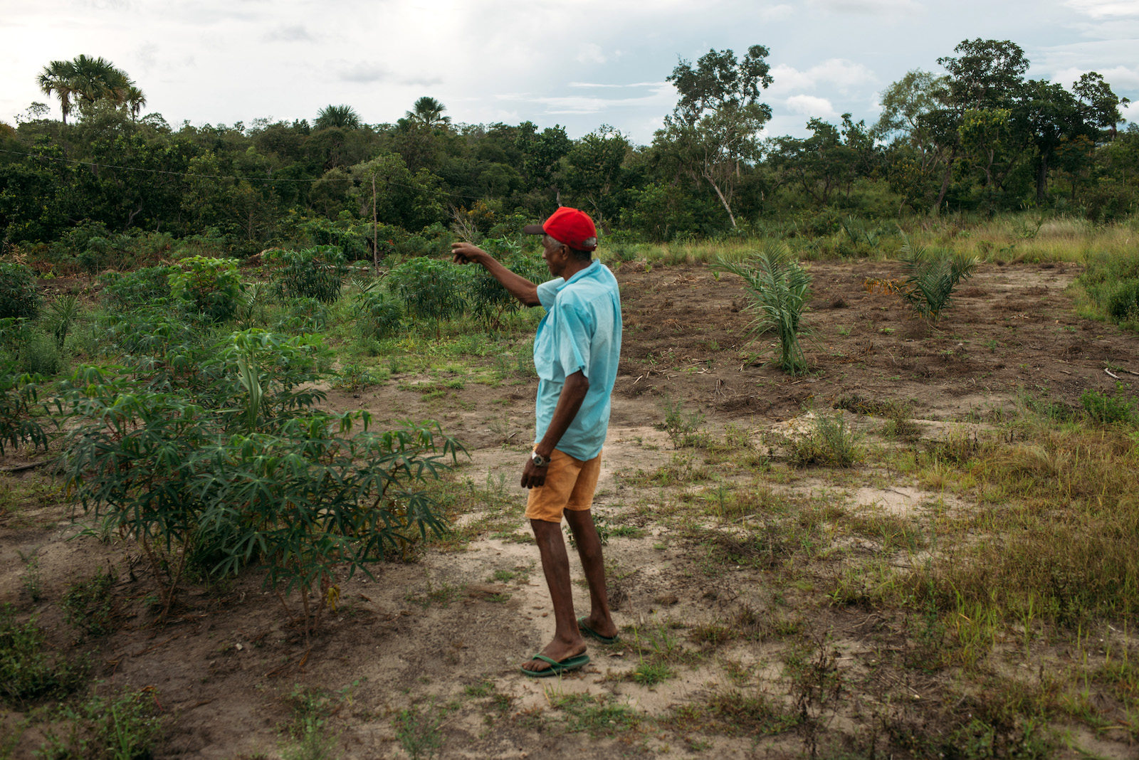 sarahl_sax's tweet card. Some of the world's largest pension funds bet big on Brazilian farmland. Communities, and the climate, are paying the price.