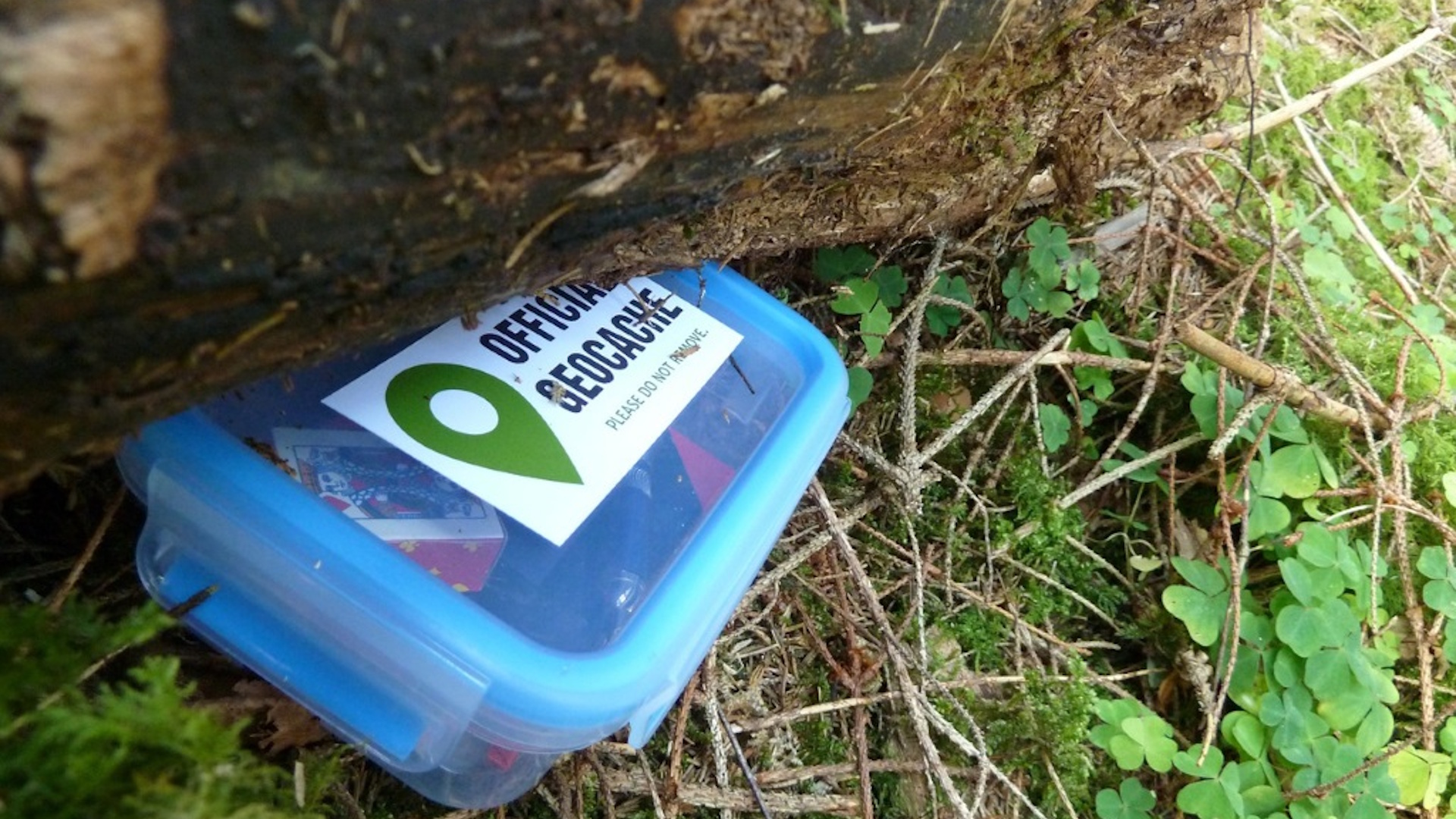 AttractionsNear's tweet card. Recently a friend of ours recommended that we try Geocaching. I had heard the term mentioned before but I had little idea what was involved and just how much fun can be had.