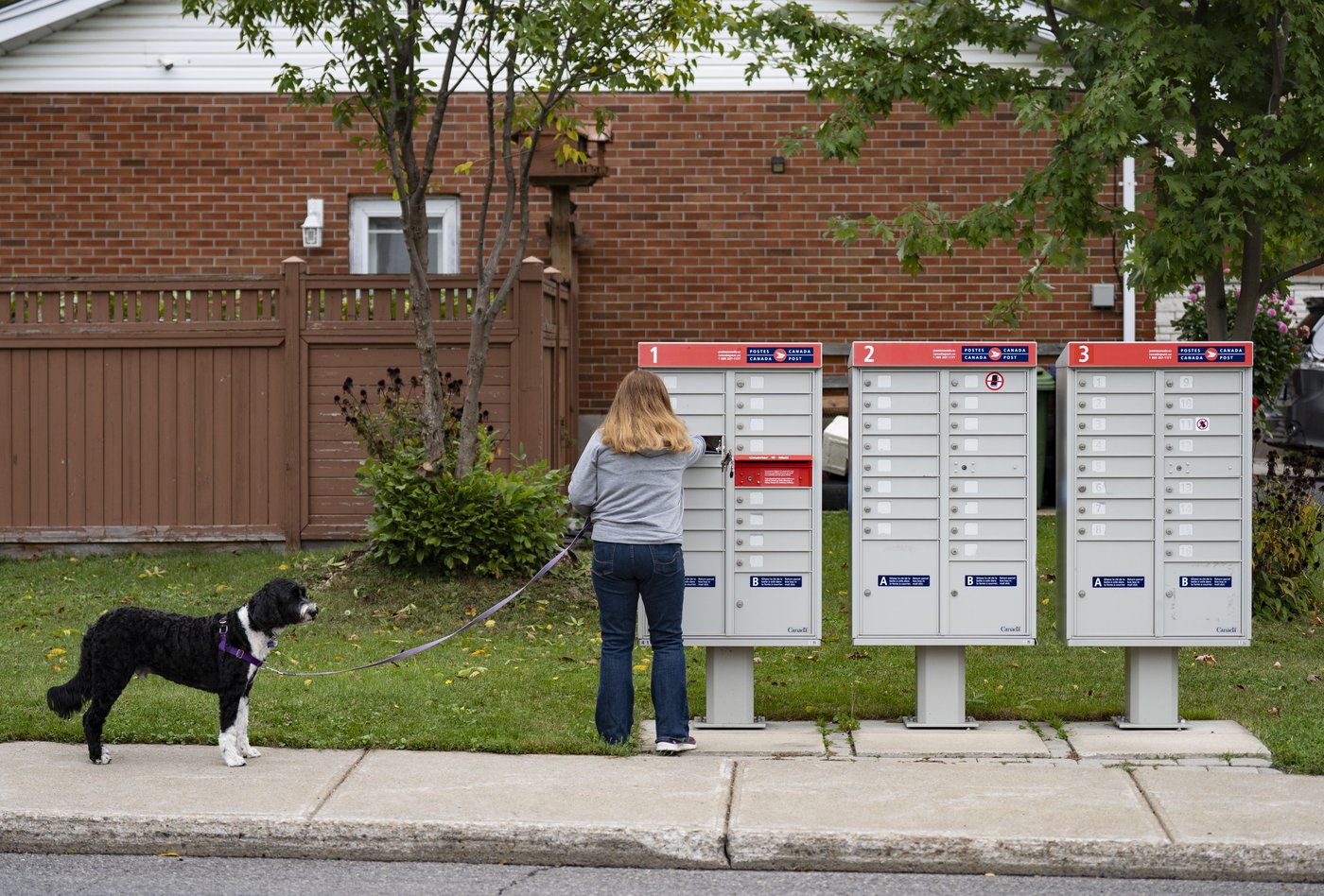 CityNewsTO's tweet card. A months-long police investigation into stolen mail has ended with the arrest of eight men who are facing hundreds of charges.
