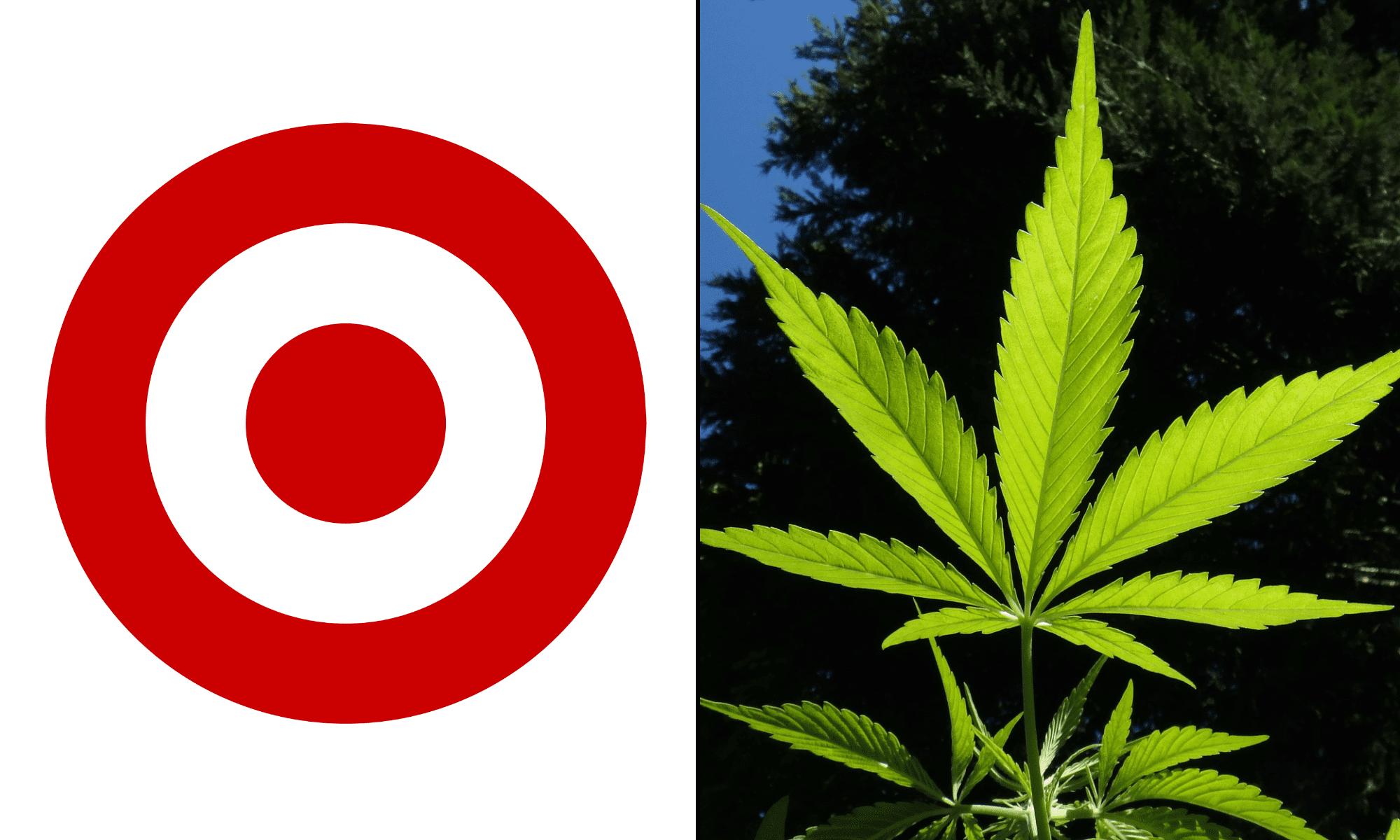 tomangell's tweet card. The retail giant Target is soft launching sales of THC-infused beverages at select stores in Minnesota, an executive of one cannabis drink company participating in the rollout and other industry...