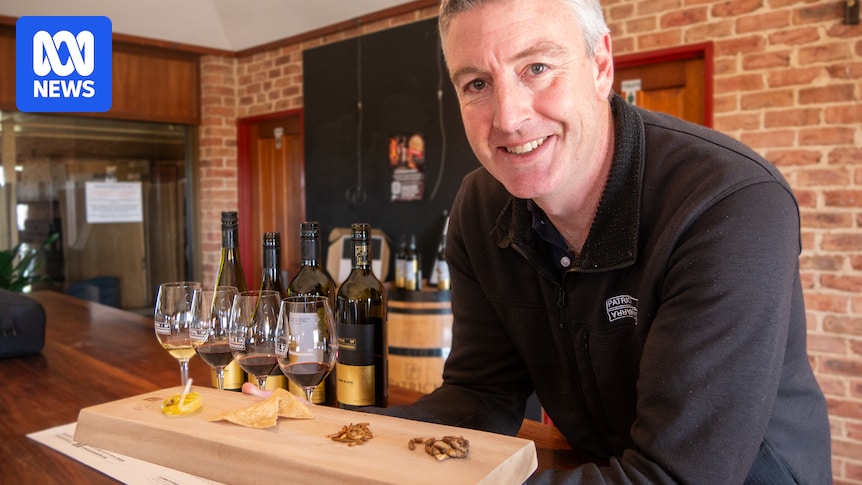 abcnews's tweet card. From pet food to human food, insects have many potential uses in Australia. But the industry has to overcome some big challenges around public perception first.