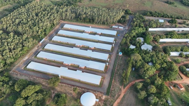 Capexpy's tweet card. La producción avícola en Paraguay experimentó un crecimiento cercano al 70 % en los últimos 10 años, destacó a Productiva Blanca Ceuppens, presidenta de Granja Avícola La Blanca. Agregó que este au…