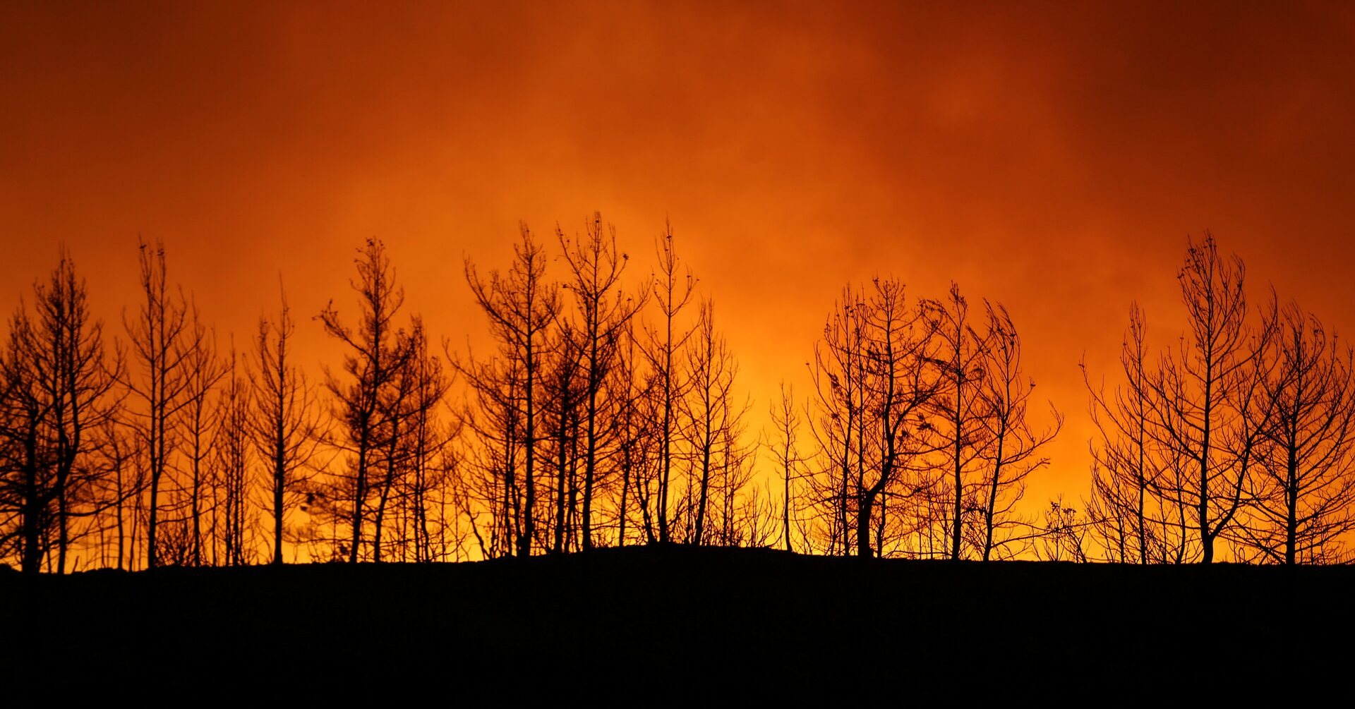 ImranKhanPTI's tweet card. The death toll from wildfires on Turkey's southern coast has risen to four and firefighters were battling blazes for a third day on Friday after the evacuation of dozens of villages and some hotels.