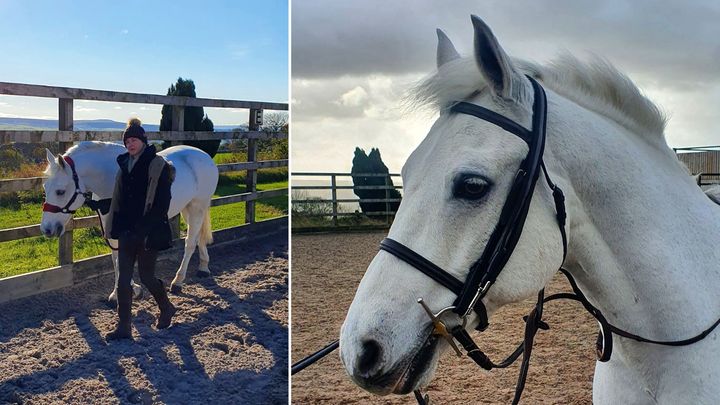 ImKayleeEllen's tweet card. Hi, my name is Kaylee and I’m the current owner of Bobby, the now nearly 14… Kaylee Urwin needs your support for Help me rehabilitate Bobby and fight his case