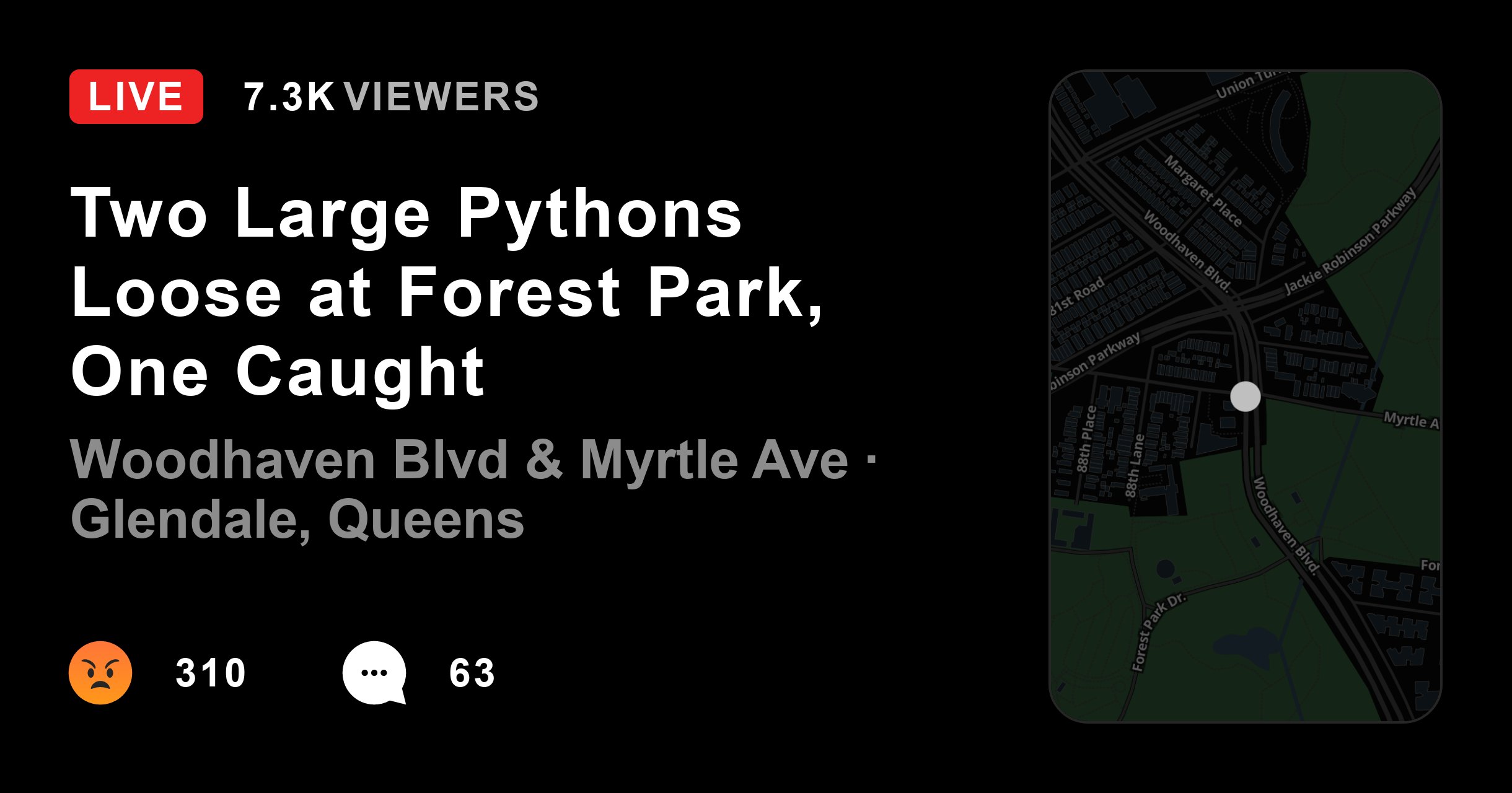 charlene_chez's tweet card. According to a report from the New York Post, officials believe the snakes were abandoned by an exotic pet owner.