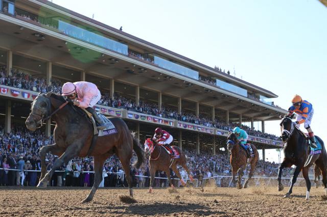 netkeiba's tweet card. ◆第41回ブリーダーズカップ・クラシック(現地時間11月2日、米国デルマー競馬場・ダート2000メートル)＝JRA海外馬券発売対象レース 　2日間にわたる米国競馬の祭典。2日目に行われたダート頂… No.1競馬情報サイト「netkeiba」の競馬ニュース。