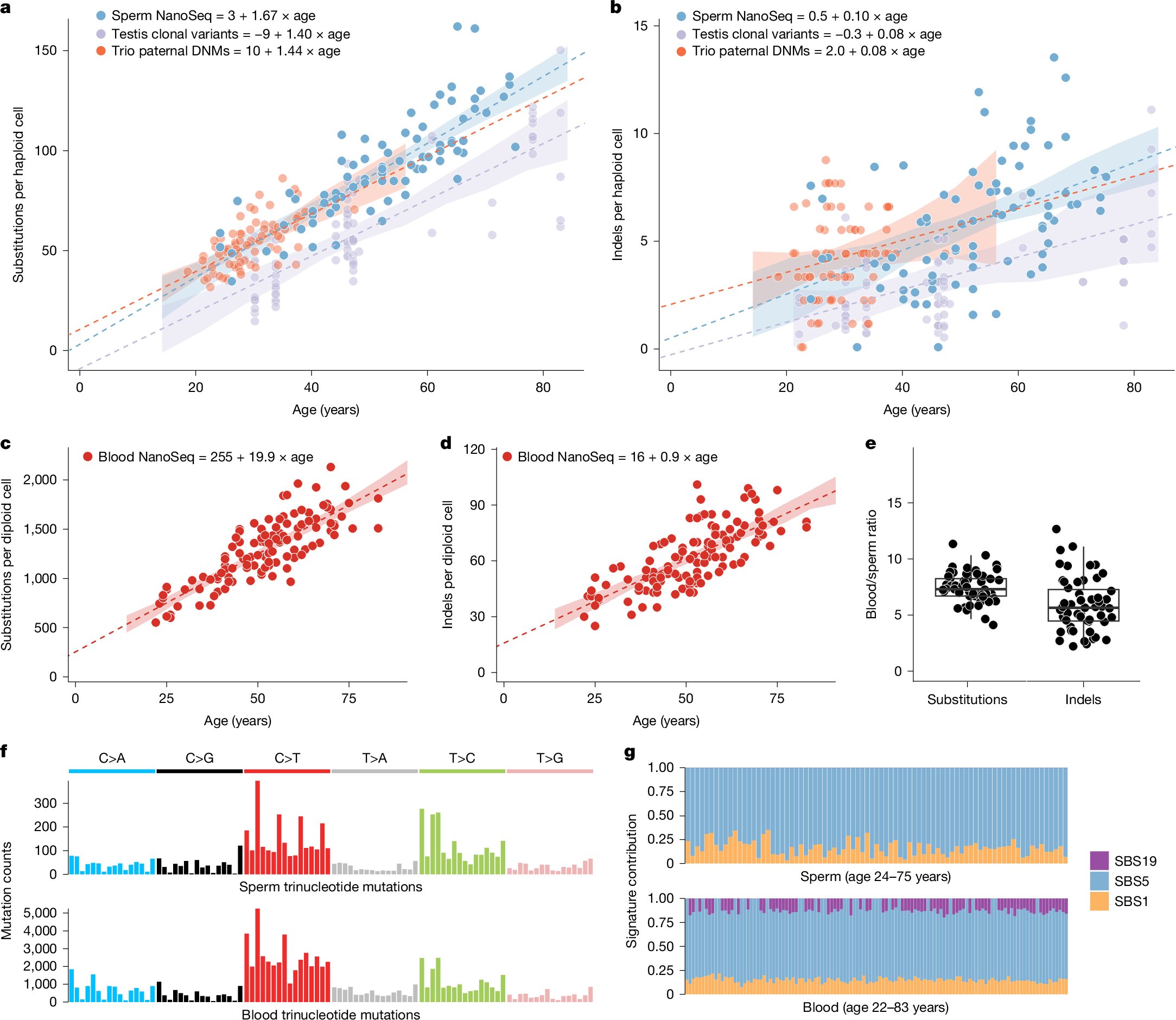 yz7sha's tweet card. Nature - A combination of whole-genome NanoSeq with deep whole-exome and targeted NanoSeq is used to accurately characterize mutation rates and genes under positive selection in sperm cells.