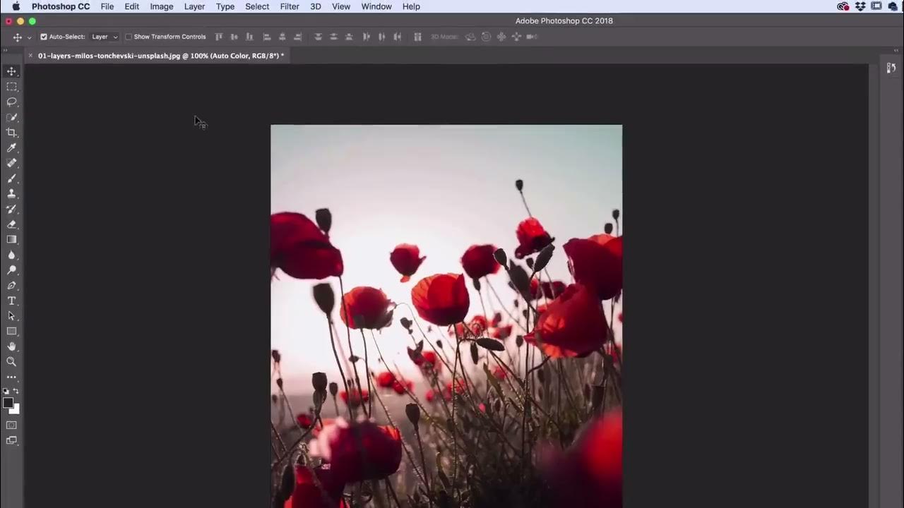 yaboagye12's tweet card. Learn all about Adobe Photoshop