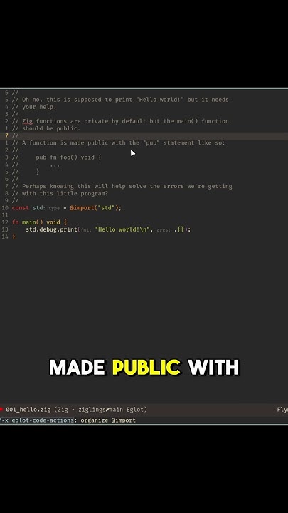 sourcery_zone's tweet card. Public functions in Zig