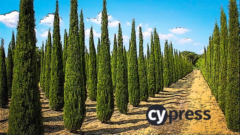 TypeScript_Geek's tweet card. Learn how to improve your software quality with end to end testing using Cypress