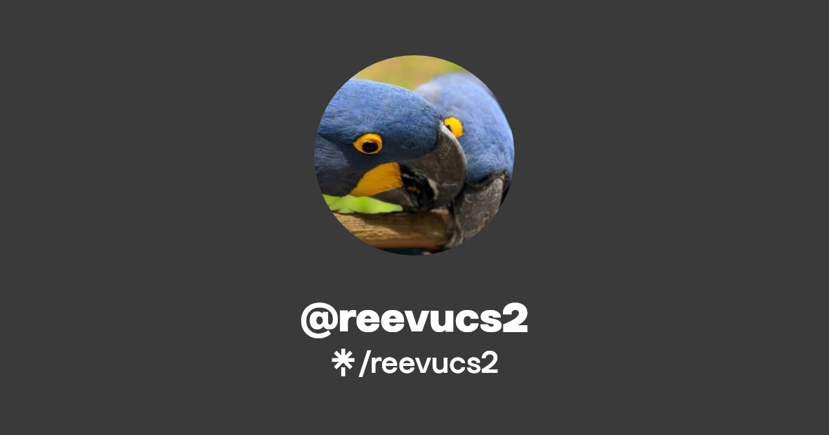 Reevucsgo's tweet card. Linktree. Make your link do more.