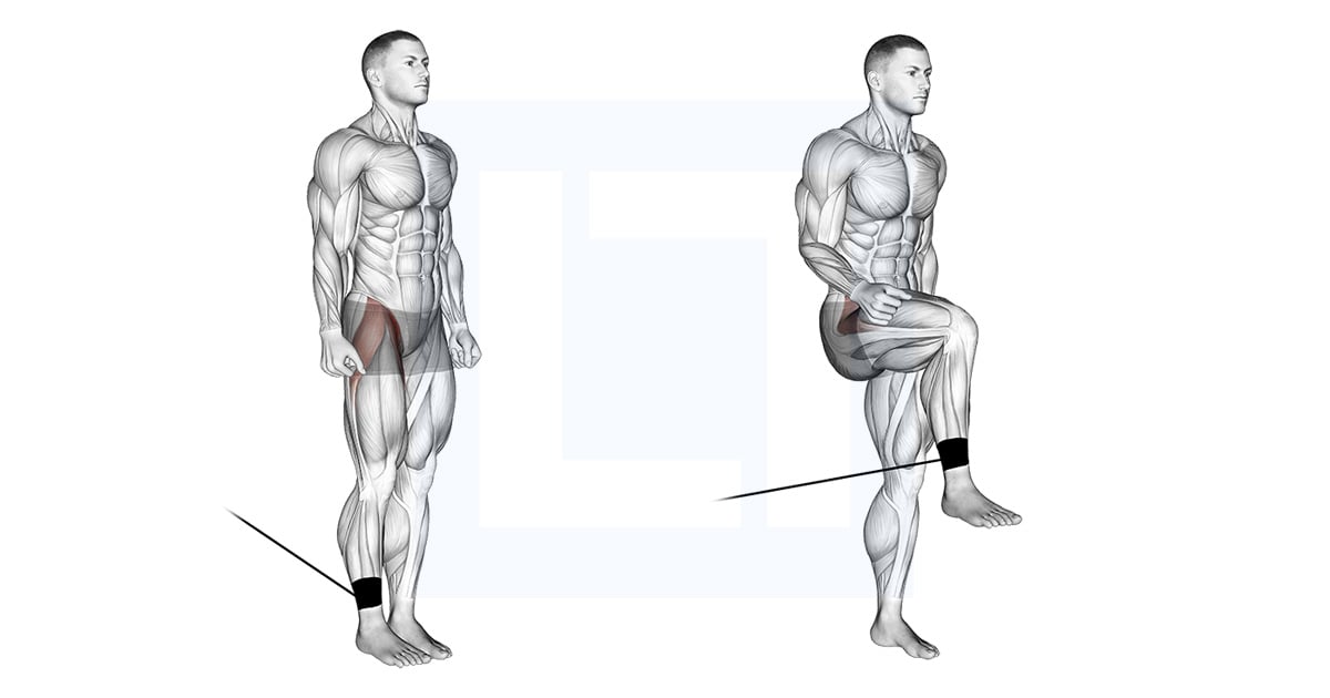 LiftManual's tweet card. Read our band hip flexion guide. Learn how to do this exercise, the muscles worked, and the main benefits.