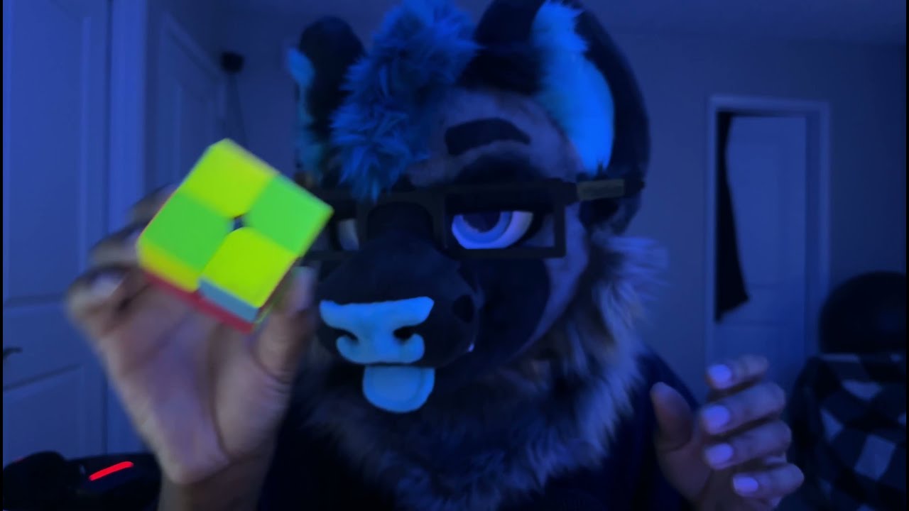 dashydoggo's tweet card. Dashy's Furst ASMR Video (#fursuit #furryasmr)