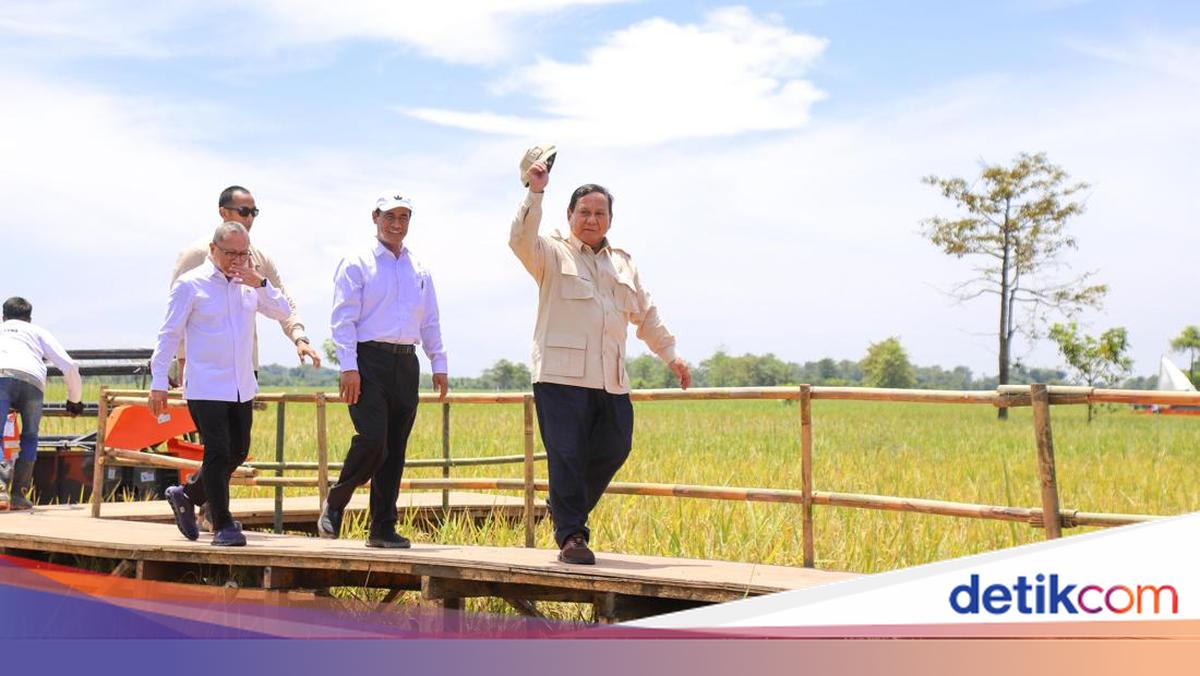 b4y27's tweet card. Kinerja Kementan di bawah Andi Amran Sulaiman mendapat apresiasi tinggi, dengan kepuasan publik mencapai 71,5% berkat program ketahanan pangan yang efektif.
