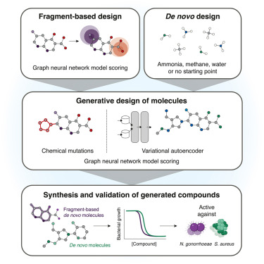 owenmp's tweet card. A generative AI platform is developed for de novo antibiotic design, yielding lead compounds with selective antibacterial activity, distinct mechanisms of action, and in vivo efficacy against...