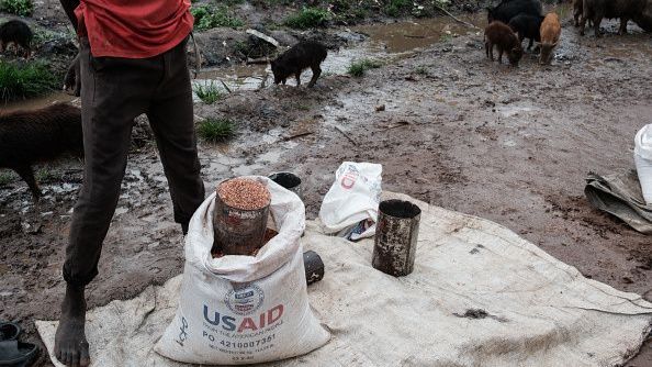 clarionproject's tweet card. Elon Musk and President Donald Trump oversaw major cuts to USAID, effectively winding down the agency as of early 2025.