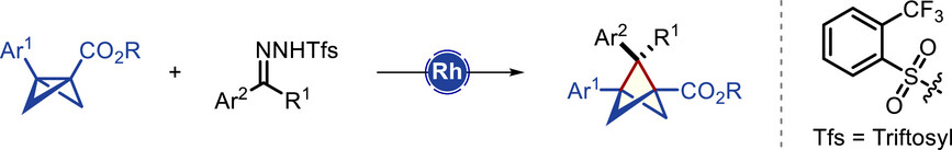 wipf_group's tweet card. A rhodium-catalyzed carbene insertion reaction into bicyclo[1.1.0]butanes (BCBs) has been developed. This method enables access to previously unattainable 2-functionalized BCPs featuring quaternary...