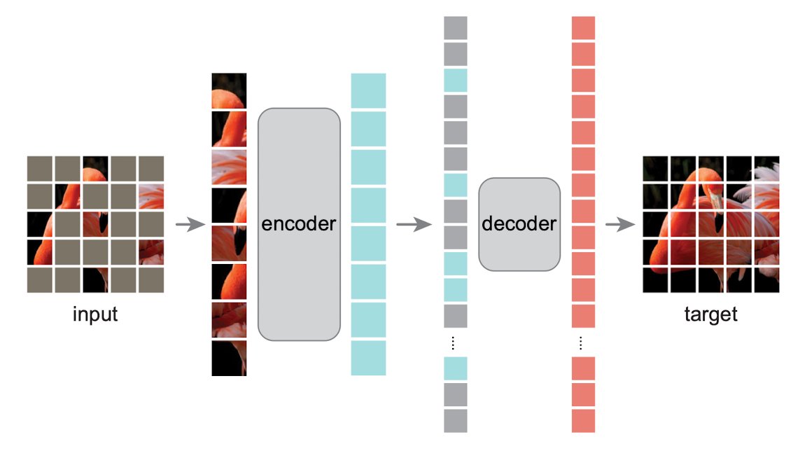 TDataScience's tweet card. A Step-by-Step Guide to Building MAE with Vision Transformers