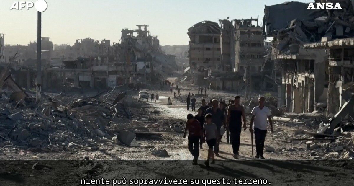 petergomezblog's tweet card. Leggi su Il Fatto Quotidiano.it le testimonianze dei palestinesi che tornano a Gaza City dopo i bombardamenti israeliani e trovano solo macerie: "Distruzione immensa, andiamo verso l'ignoto"