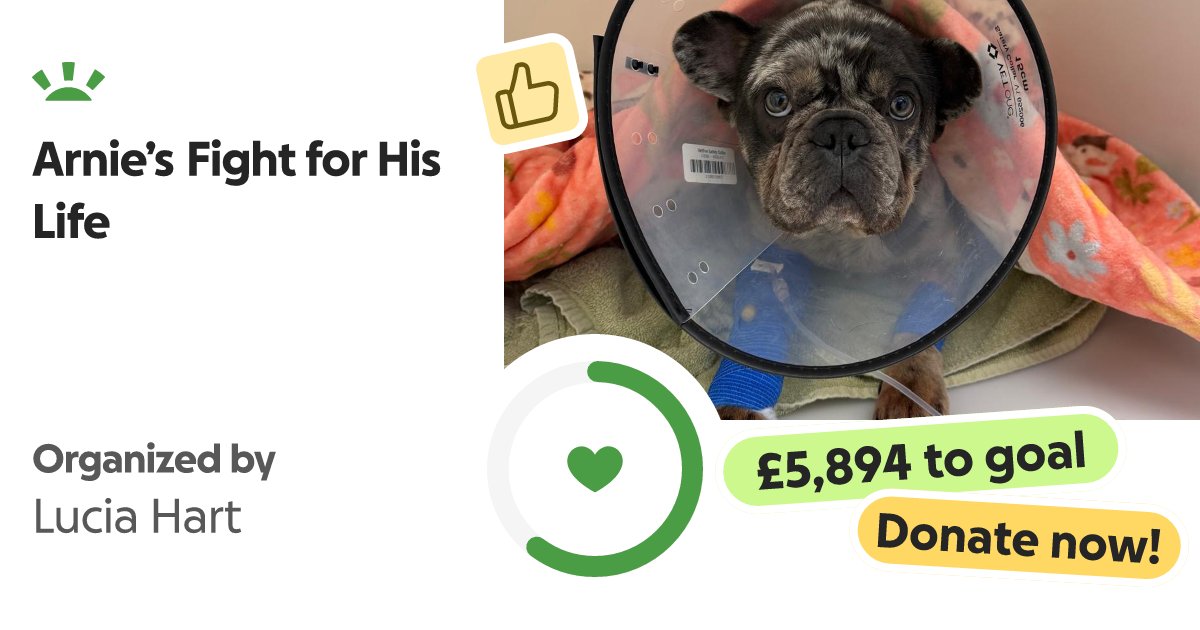 OlgaCairns's tweet card. Hi everyone, My name is Lucia, and I’m reaching out with the heaviest heart to ask for h… Lucia Hart needs your support for Arnie’s Fight for His Life
