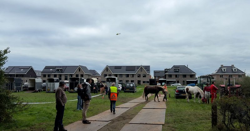 Meisje gewond na val van paard in Broekland, traumaheli opgeroepen