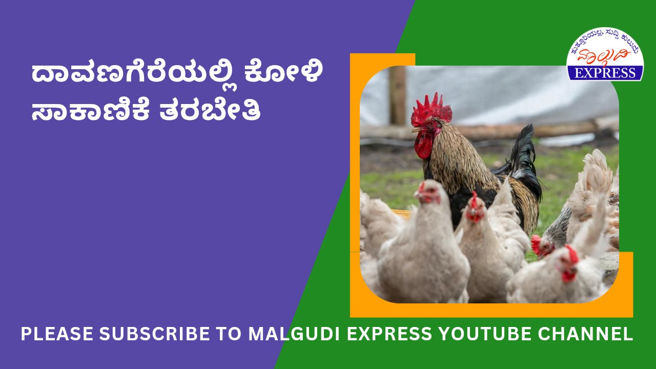 malgudiexpress1's tweet card. ದಾವಣಗೆರೆ: ದಾವಣಗೆರೆ ಪಶುಪಾಲನಾ ಮತ್ತು ಪಶುವೈದ್ಯಕೀಯ ತರಬೇತಿ ಕೇಂದ್ರದಲ್ಲಿ ಅಕ್ಟೋಬರ್ 13 ಮತ್ತು 14ರಂದು ಕೋಳಿ ಸಾಕಾಣಿಕೆ ತರಬೇತಿಯನ್ನು ಆಯೋಜಿಸಲಾಗಿದೆ ಎಂದು ಪಶುವೈದ್ಯಾಧಿಕಾರಿಗಳು ತಿಳಿಸಿದ್ದಾರೆ. ಆಸಕ್ತ ರೈತರು ಆಧಾರ್ ಕಾರ್ಡ್...