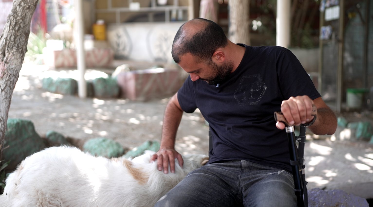 DuthoitX's tweet card. À Givat Shemesh, près de Jérusalem, le centre de réhabilitation Retorno mise sur les animaux pour apaiser les soldats souffrant de trouble du stress post-traumatique