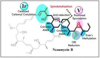 GoswamiLab_IACS's tweet card. The stereoselective synthesis of the northern hemisphere (C20–C41) of the purported structure of the extremely potent anticancer natural product neaumycin B has been accomplished. Twelve out of...