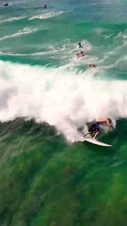 StefanLong's tweet card. This is not your usual PARTYWAVE #surfers #surfing #surf #oahu...