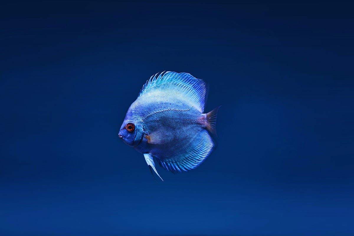 WinfredKilonzoN's tweet card. I have finally taken the time to explore GDB. And it’s amazing! Here’s what I’ve learned.