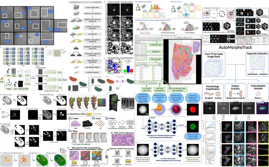 focalplane_jcs's tweet card. Microscopy preprints - bioimage analysis - News