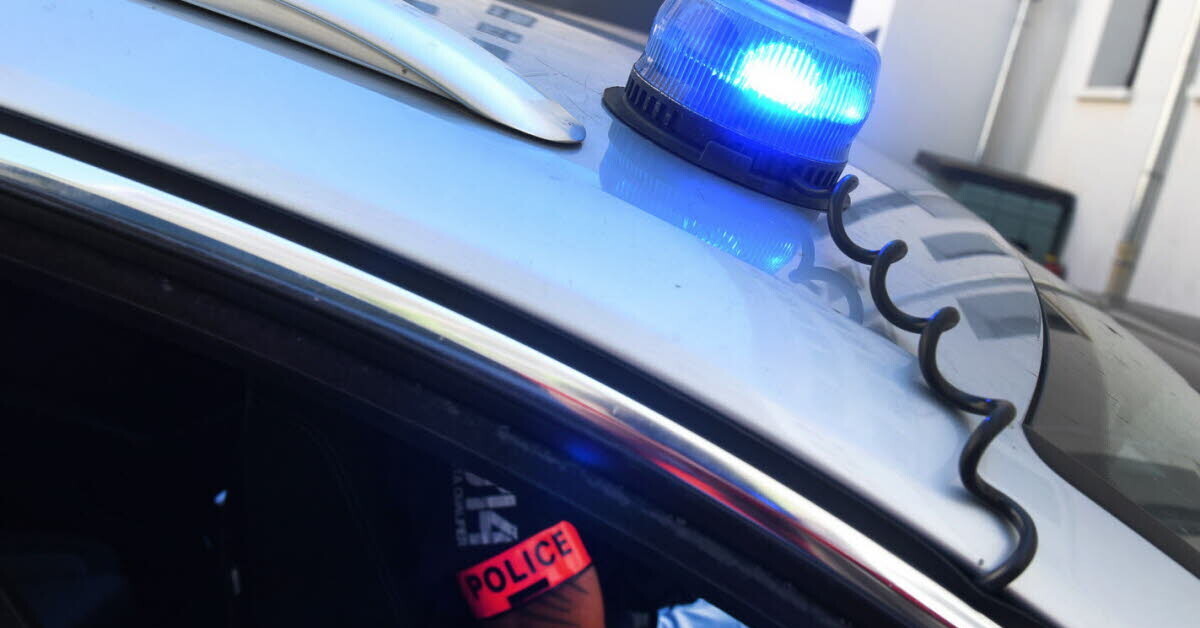 Le_Progres's tweet card. Lyon. Il avait failli percuter un policier en prenant la fuite : un an de prison