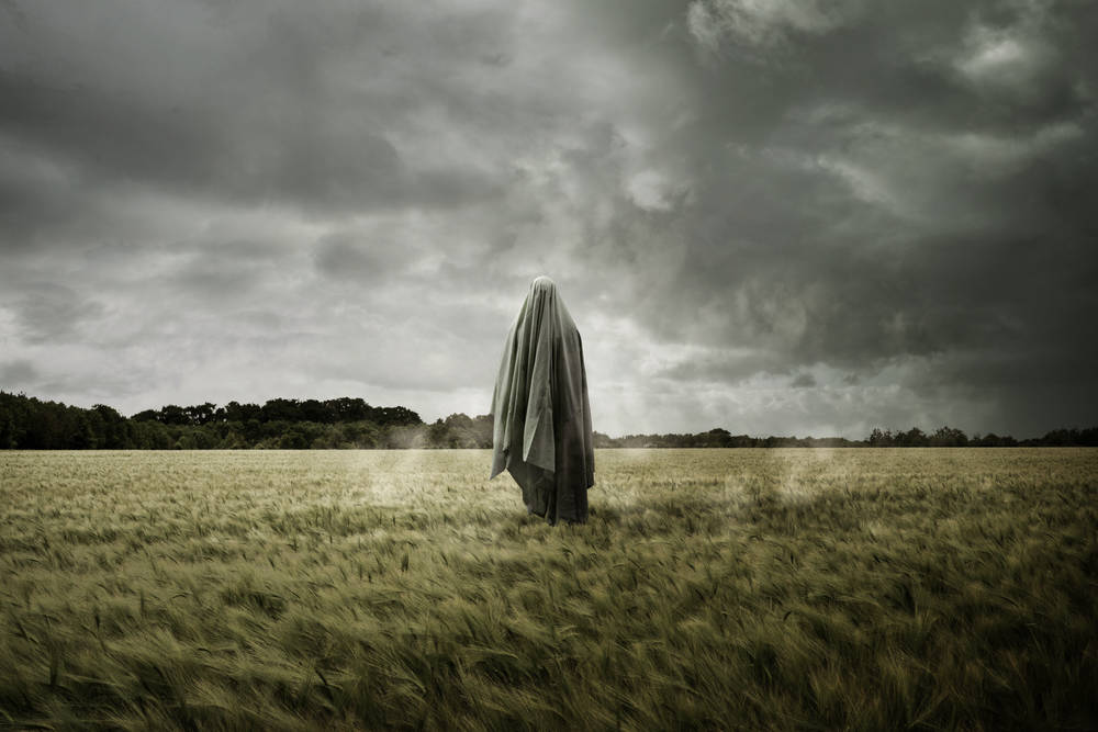 TheRegister's tweet card. Kernel 6.2 ditched a useful defense against ghostly chip design flaw