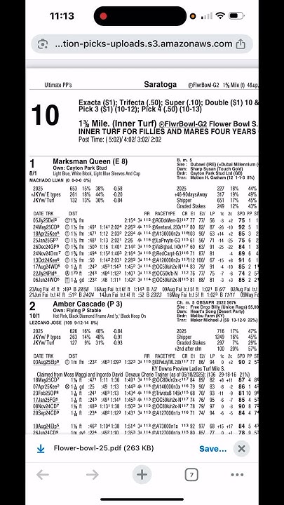 jerchess's tweet card. The Flower Bowl Stakes from Saratoga #horserace #saratoga