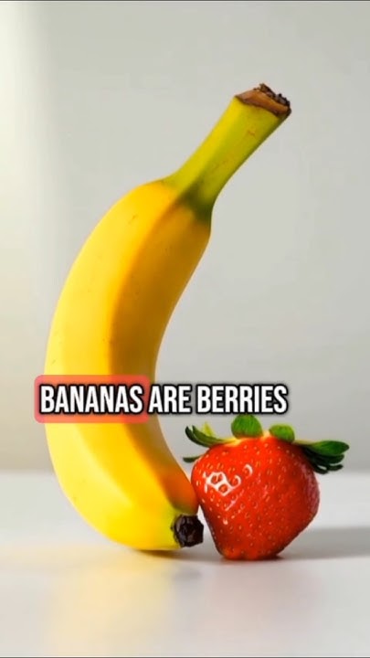 RepostNotRetwt's tweet card. Bananas are berries, but strawberries aren't. #facts #shorts #fruits