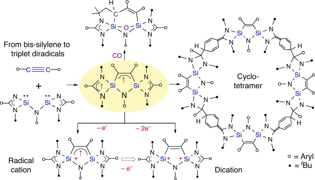 DriessLab's tweet card. Nature Synthesis - Carbon- and silicon-based triplet diradicals with two unpaired electrons are proposed as intermediates in organic and organometallic reactions but their isolation is challenging....