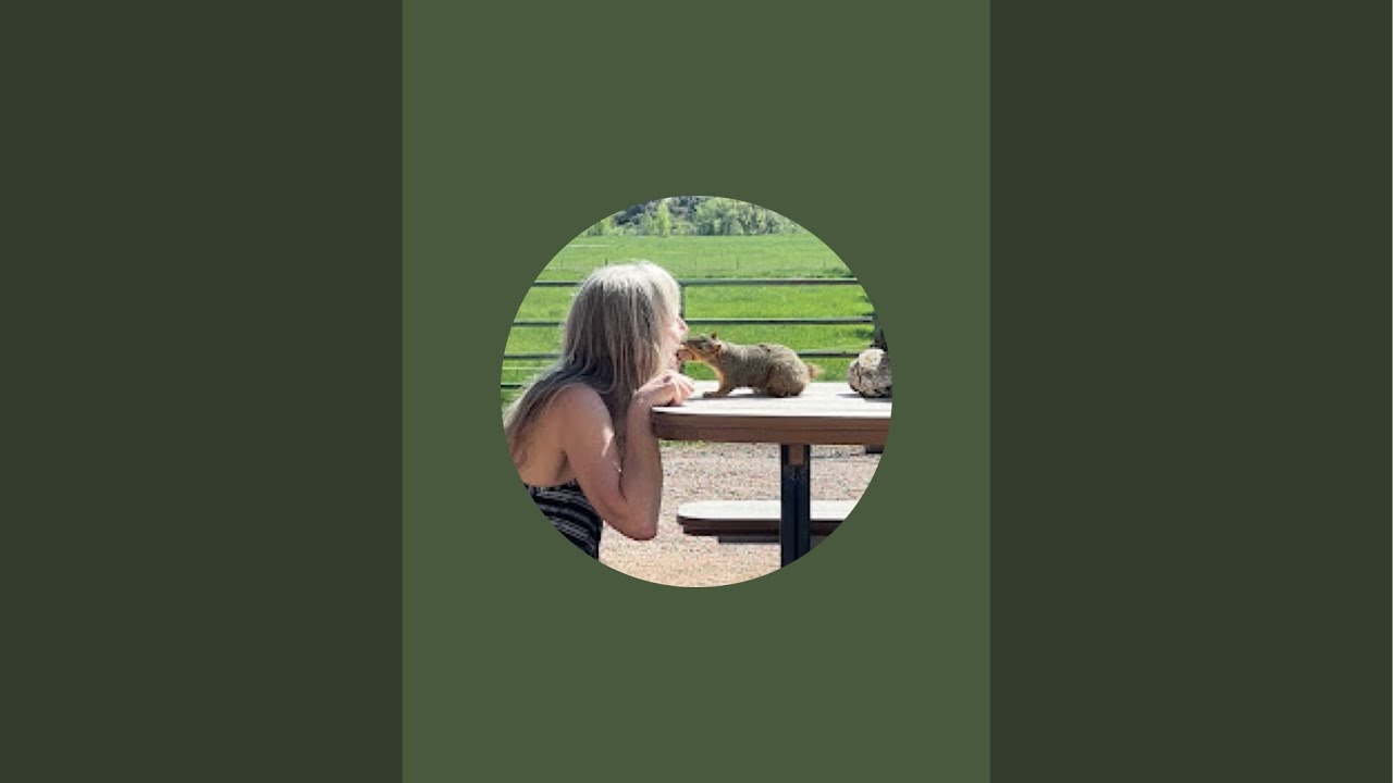 vidubois22's tweet card. MO is live! Birds and whatever shows up #cute #nature #wildlife