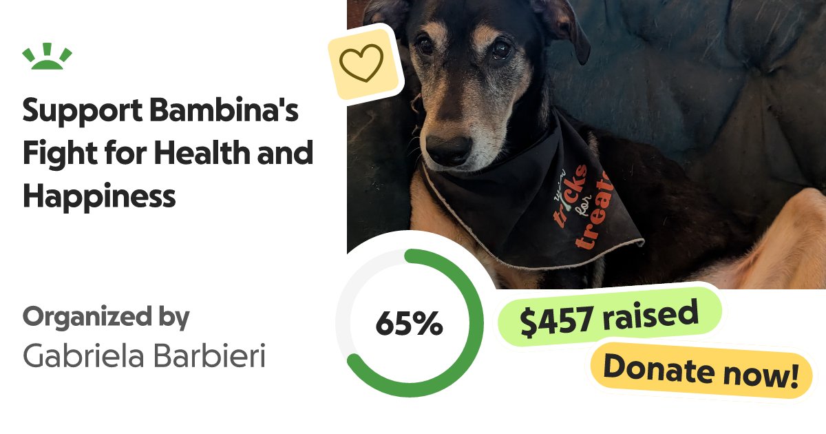 Lilliana1017's tweet card. Meet Bambina, our incredible rescue dog who just turned 7 on… Gabriela Barbieri needs your support for Support Bambina's Fight for Health and Happiness
