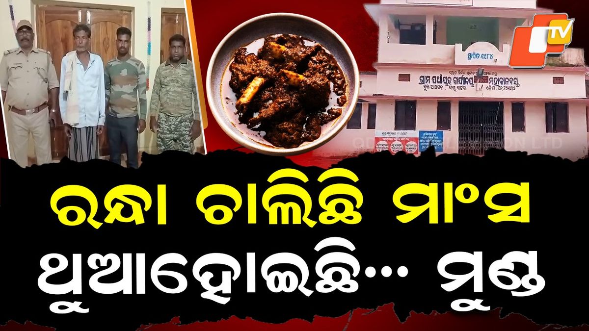 otvkhabar's tweet card. ଓଡିଶା- ପଞ୍ଚାୟତ କାର୍ଯ୍ୟାଳୟରେ ଚାଲିଛି ସାଂସର ଭୋଜି । ଗଡ଼ୁଛି ମଦ ବୋତଲ, ନ୍ୟାୟବ ସରପଞ୍ଚ ଭାଙ୍ଗୁଛନ୍ତି ସରକାରଙ୍କ ଆଇନ୍ । ଖବର ପାଇ ବନ ବିଭାଗ ପହଞ୍ଚିଲା ବେଳକୁ ଛତ୍ରଭଙ୍ଗ ଦେଲେ ଜନପ୍ରତିନିଧି।