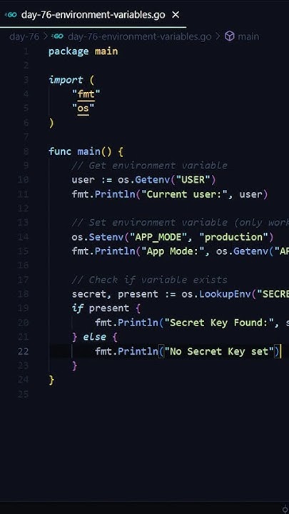 tigerxinsights's tweet card. Environment Variables in GoLang 😎 | Day 76 of 90 Days Challenge 💻